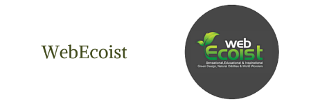 Web Ecoist Small Logo