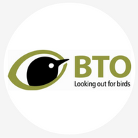 BTO