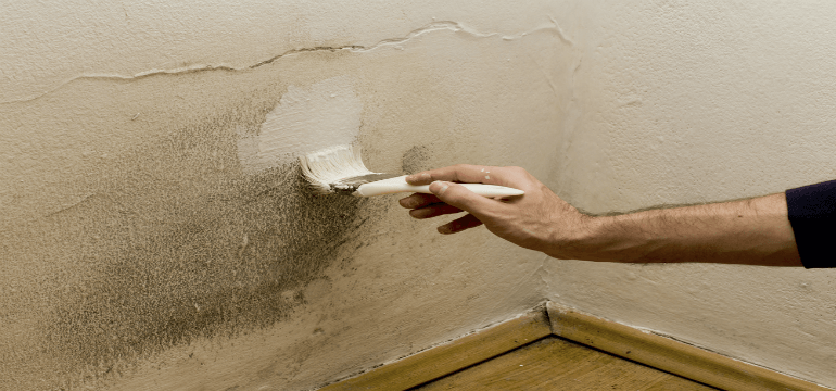 How To Deal With Domestic Damp and Mould?