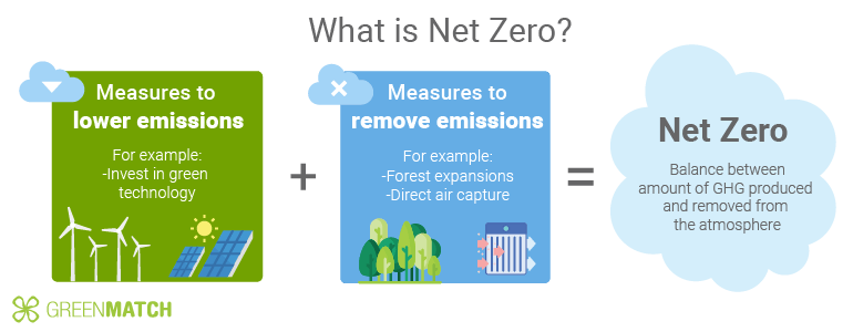 The Benefits of Investing in Net Zero Carbon Emissions Electricity