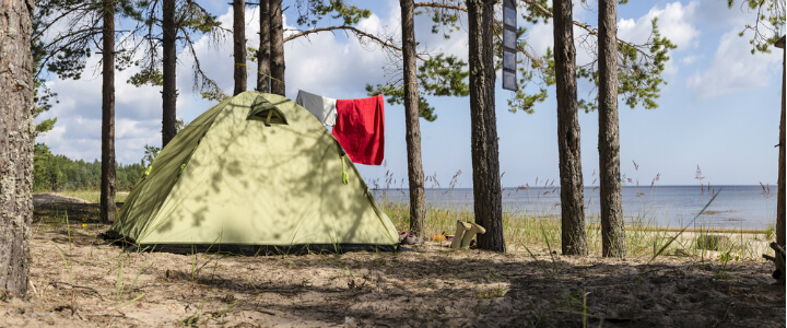 Solar Panels for Camping