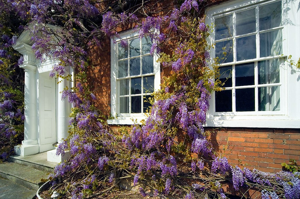 uPVC Sash Windows