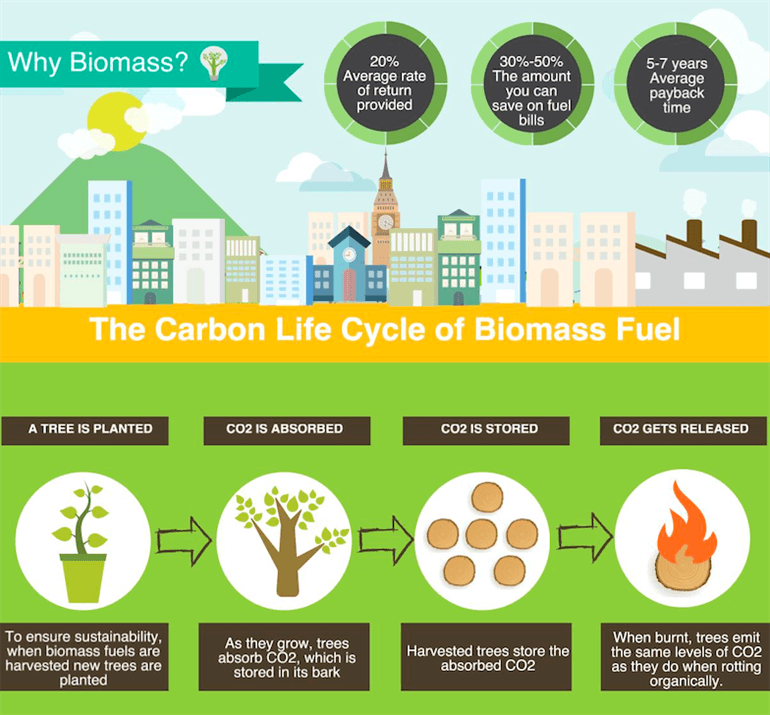 Why Choose Biomass Boilers?