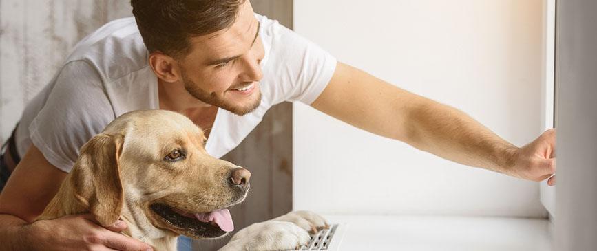 man and a dog at window