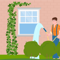 How-to-Keep-Your-House-Cool_Plants