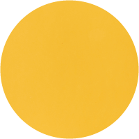 Sunflower yellow