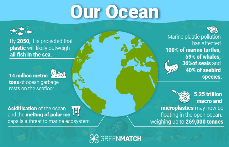 The ocean pollution overview