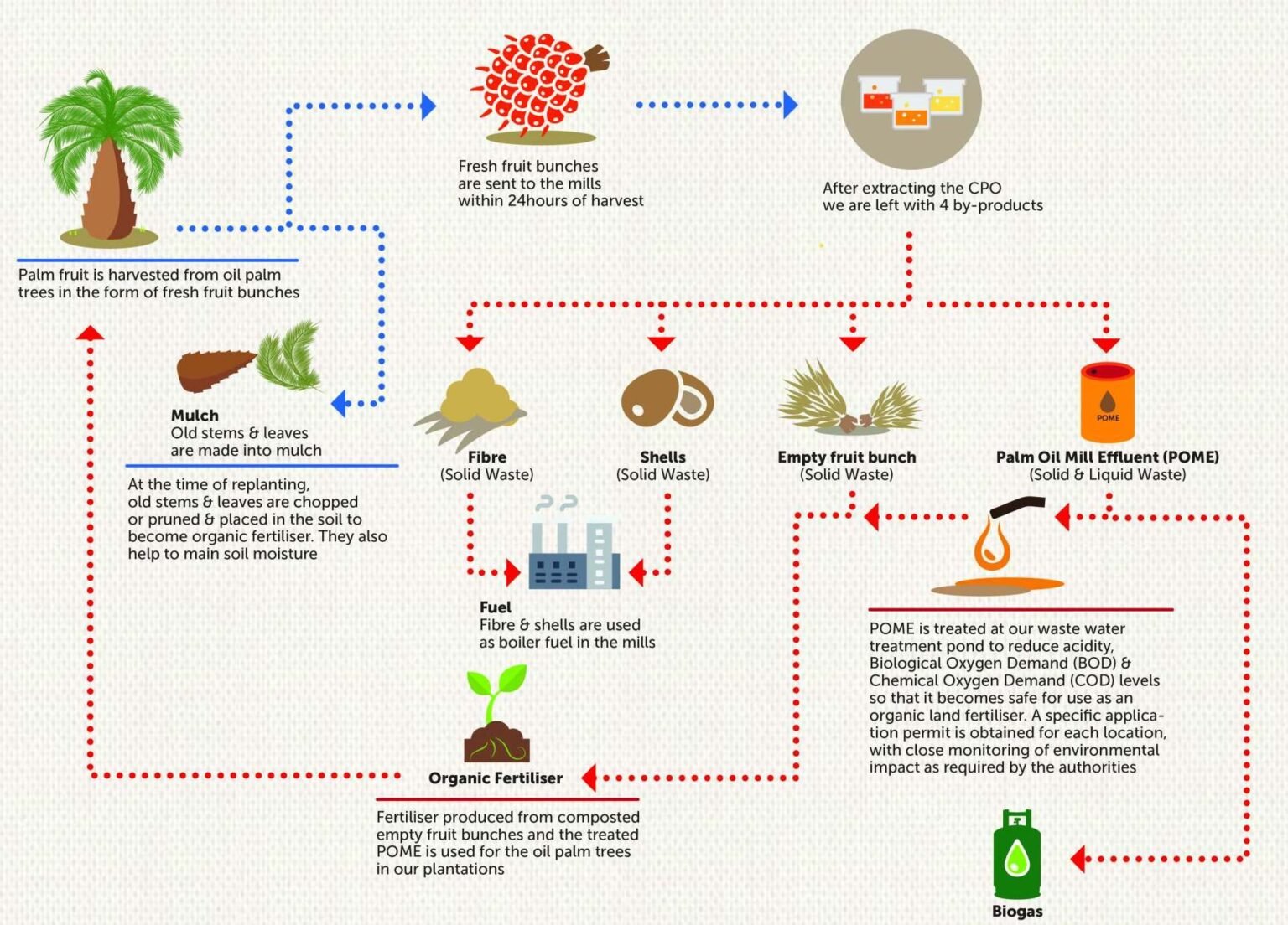 Is Palm Oil Bad For The Environment? Stats, Trends And Facts