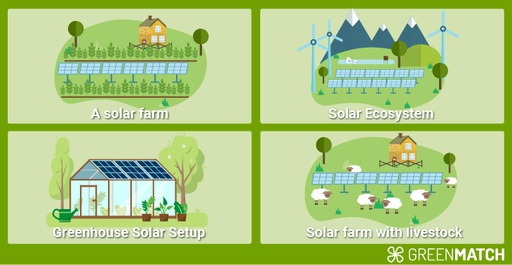 Solar farms strategy