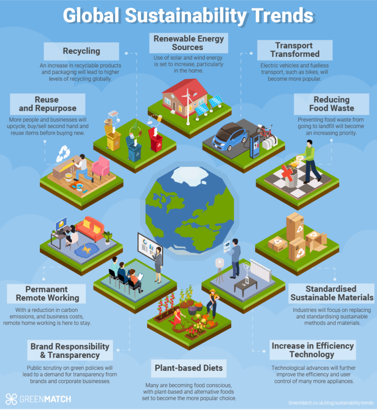 Global Sustainability Trends for 2024 According to 42 experts