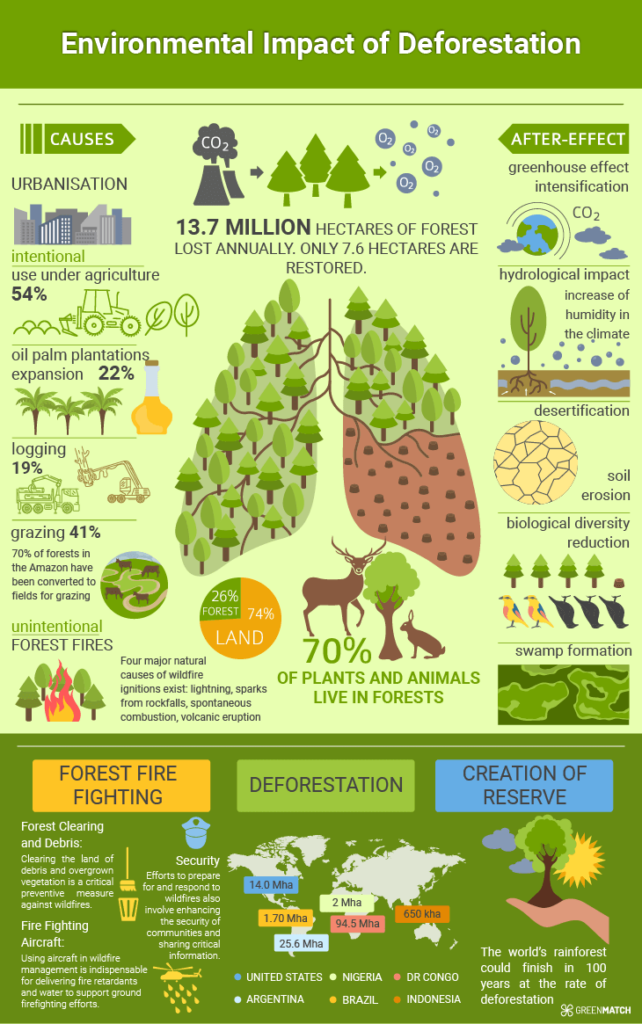 Environmental Impact of deforestation in one view