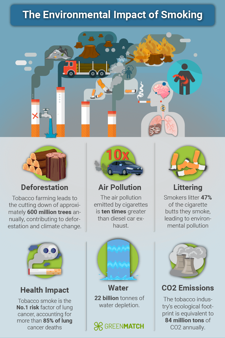 Is Smoking Bad For The Environment? Stats, Facts, And Trends