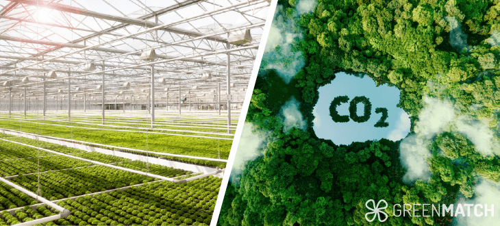 The environmental impact of greenhouses is far reaching than expected
