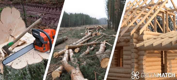 Is building with wood a sustainable choice?