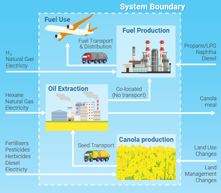 The environmental impact of canola oil production involves several key factors, including land use, greenhouse gas emissions, water usage, and the use of pesticides and fertilisers