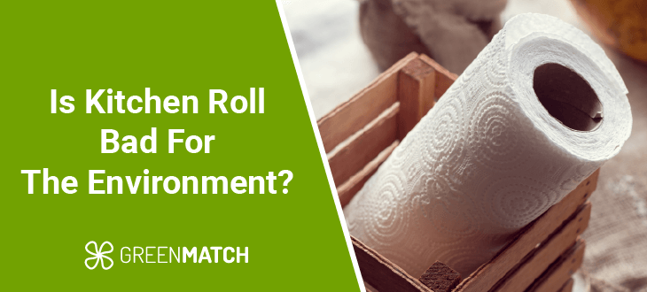 Is kitchen roll bad for the environment?