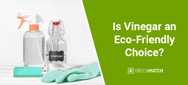 is vinegar bad for the environment