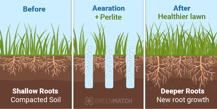 When considering the environmental impact of perlite versus vermiculite for gardening or construction purposes, it's essential to weigh several key factors.