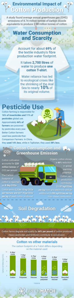 Is Cotton Bad for the Environment? Statistical Facts