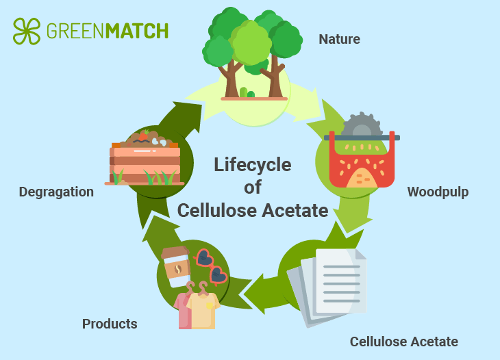 cellulose acetate lifecycle