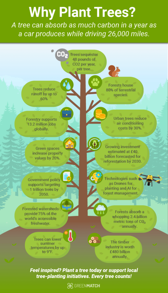 The benefit to plant trees provides improve air and water quality, reducing soil erosion, mitigating climate change, enhancing biodiversity, offering shade and cooling.