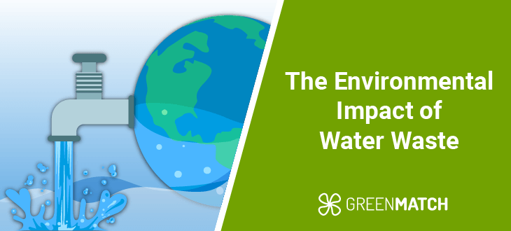 Water waste: Key stats and environmental impact. Learn about the significant effects of water waste on the environment and how we can reduce it