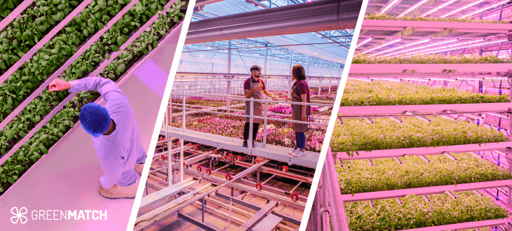 Is Vertical Farming Bad for the Environment