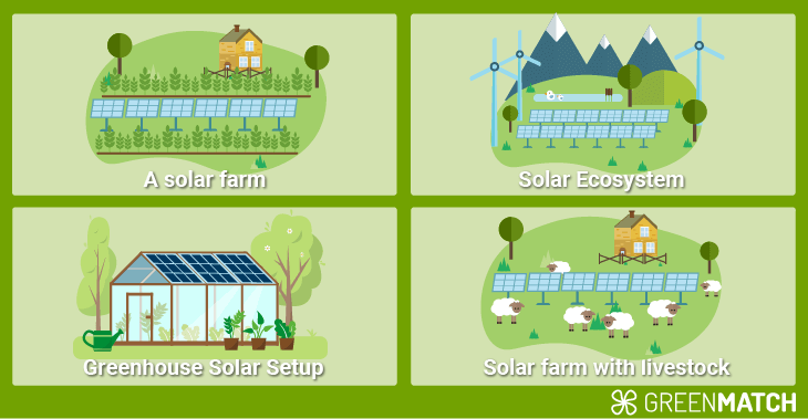 Illustration of a solar farm strategy integrating agrovoltaics, showcasing solar panels above crops to optimise land use and efficiency