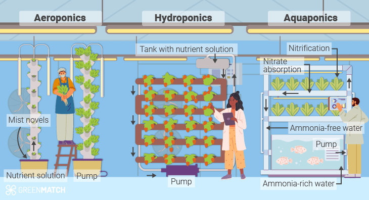 Types of Vertical Farming