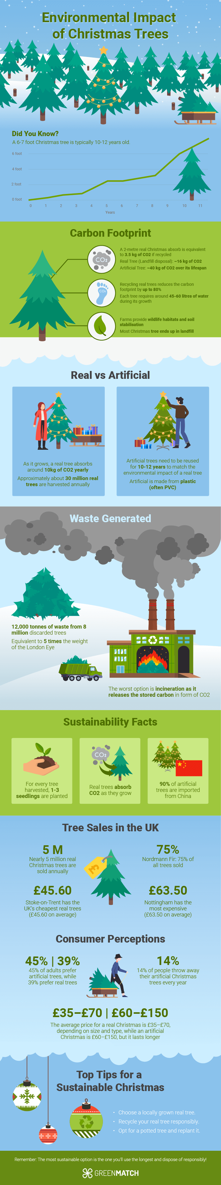 The surprising environmental impact of Christmas trees. From supporting sustainable forestry to providing a natural, biodegradable decoration, learn why choosing a real tree can be a greener holiday choice.