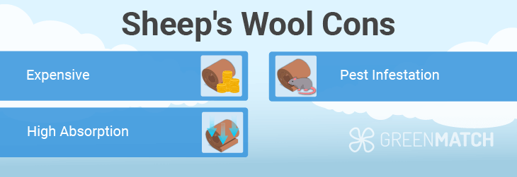 sheepwool-cons