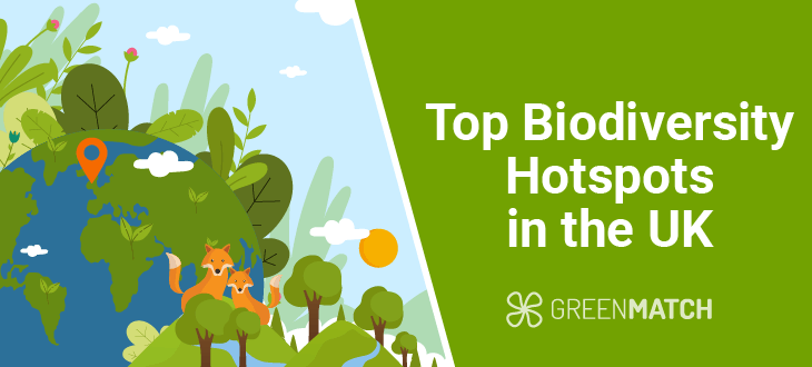 UK's top biodiversity hotspot. From rare flora to unique fauna, this natural marvel is a must-see.