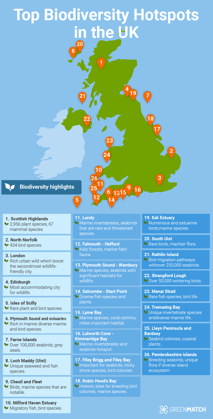 Explore the UK's most biodiverse region and witness the wonders of nature firsthand.