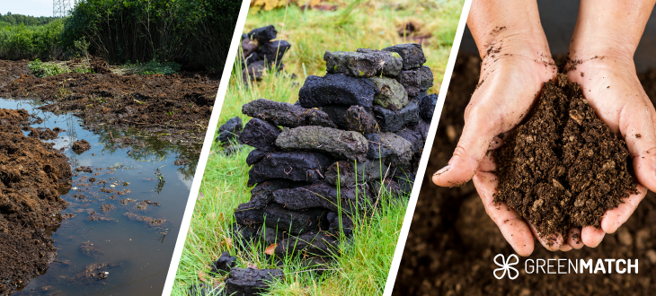 Exploring the depths of peat: A journey into sustainability.