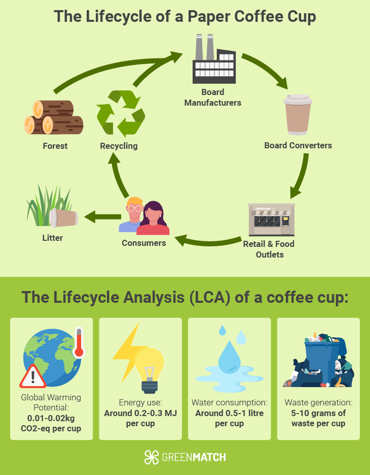 lifecycle of a paper cup