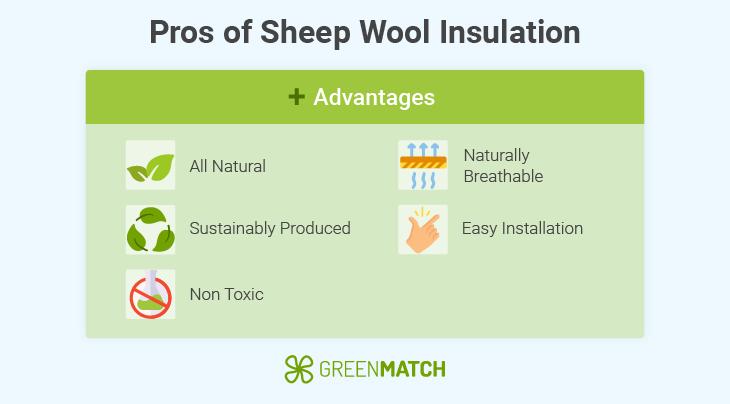 sheepwool-advantage