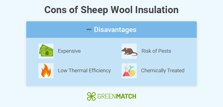 sheepwool-disadvantage