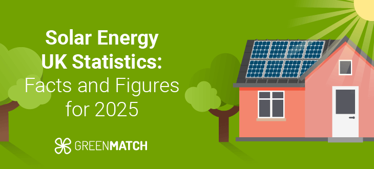 Solar Energy UK Statistics: Facts and Figures hero image