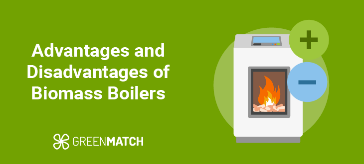 biomass boilers advantages and disadvantages hero visual
