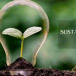 Sustainability Trends